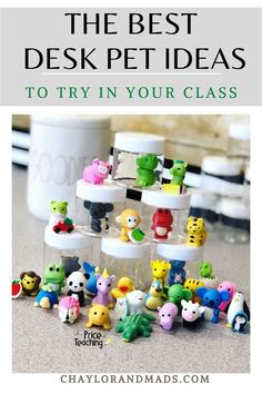 the best desk pet ideas to try in your class by chaylorandmads com