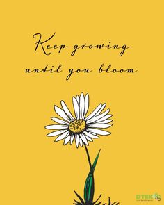 a yellow and black card with a white flower on the front saying, keep growing until you bloom