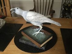 a white bird sitting on top of a wooden table next to a stack of books