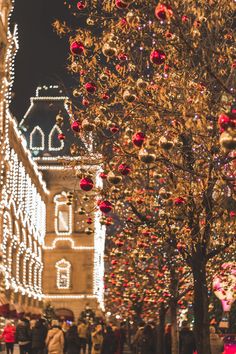 christmas decorations adorn the trees in front of an ornate building at night with people walking by