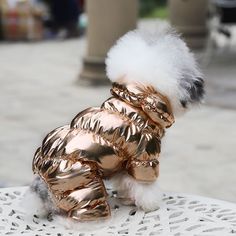 a small dog in a gold jacket sitting on top of a white doily table