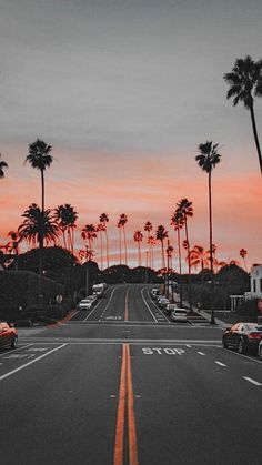 an empty street with palm trees and cars parked on the side at sunset or dawn