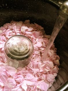 DIY // Make your own Rosewater // from Five Green Acres Săpunuri Handmade, Diy Health, Eucalyptus Leaves, Beauty Recipe, Back To Nature, Homemade Beauty Products, Diy Bath Products, Herbal Medicine