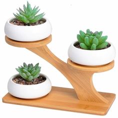 three succulents in white ceramic pots on a wooden stand