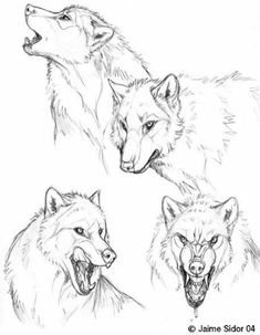 three wolf heads with their mouths open