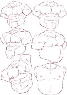 how to draw the torso and chest in 3 easy steps step by step drawing instructions for beginners