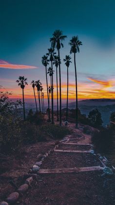 the sun is setting behind palm trees on top of a hill with steps leading up to them