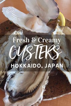 fresh and creamy oysters in hokikaido, japan with text overlay