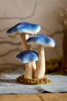 two blue mushrooms sitting on top of a wooden table