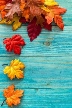 colorful autumn leaves arranged on a blue wooden background