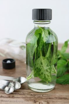 a glass bottle filled with green leaves next to spoons