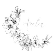 an ink drawing of flowers on a white background with the word aldley written in cursive writing