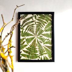 a green fern leaf is hanging on the wall next to a branch with yellow flowers