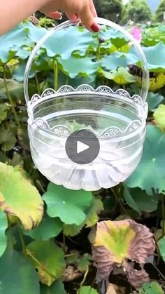 someone is holding a clear glass bowl in front of water lilies and green leaves