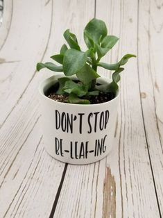 a potted plant sitting on top of a wooden table next to a cup with the words don't stop re - leafing