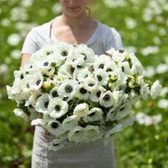 a woman holding a bouquet of white and black flowers in front of her face while standing in a field