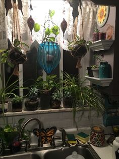 a kitchen sink filled with lots of plants and hanging pots on the window sill