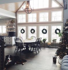 a dog laying on the floor next to a christmas tree in a room with large windows