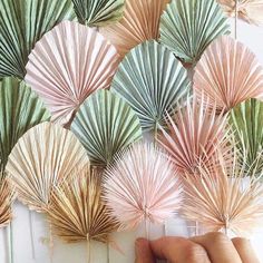 a hand is reaching for some paper fan decorations on the wall behind it, which are pink and green