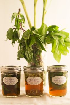 three jars filled with liquid sitting next to a potted plant on top of a table