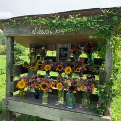 sunflowers and other flowers are arranged in mason jars on an old wooden bench