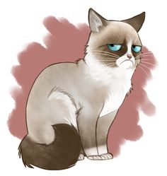 a drawing of a cat with blue eyes sitting on the ground and looking at the camera