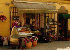 an outside view of a store with potted plants and flowers on the front window