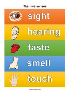 the five senses sign showing how to use their hands and feet for sight words, which are