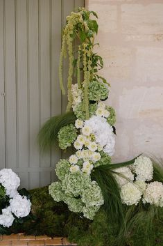 some white and green flowers are in front of a door with moss growing on it