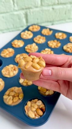 a hand holding a cupcake in front of a muffin tin filled with nuts