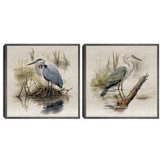 two paintings of birds in water with grass