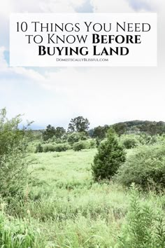 an open field with trees and bushes in the foreground, text overlay reads 10 things you need to know before buying land