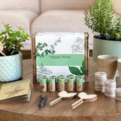 a wooden table topped with lots of green plants and pots filled with dirt next to each other