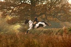 a woman riding on the back of a white and black horse in a field next to trees