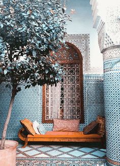 a tree in front of a blue tiled wall with an orange bench and potted plant