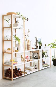 a shelf with shoes and plants on it