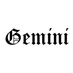 the word semini written in black ink on a white background with an ornate font