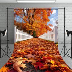 an image of fall leaves on the ground in front of a white fence and trees