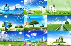 a collage of photos with green grass and blue sky