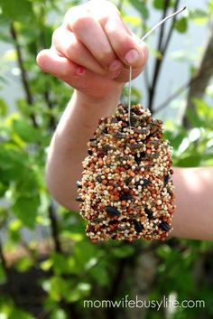 a person holding a bird feeder in their hand