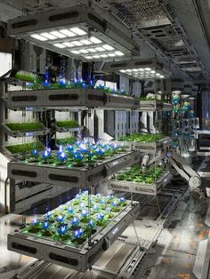 an industrial planter filled with lots of green plants and blue lights on the ceiling