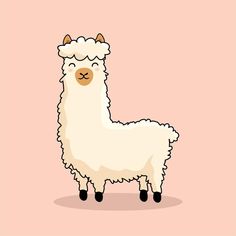 a white llama standing in front of a pink background