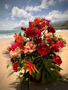 a vase filled with flowers sitting on top of a sandy beach