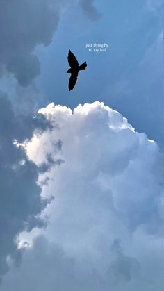 a bird flying high up in the sky on a cloudy day with a quote above it