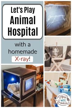 there is a poster with the words let's play animal hospital with a homemade x - ray