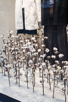 a display case with white flowers and coats on it's windows displays clothes in the window