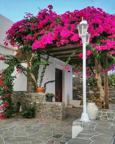 pink flowers are growing on the side of a building with a lamp post and potted plants