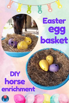 A pastel background with two inset images and purple text. At top and bottom, easter themed decoration and Enriching Equines logo. Photos show DIY easter horse enrichment basket with Jolly Egg and straw. Black gelding uses equine enrichment in upper photo. Purple text reads: Easter egg basket. DIY horse enrichment Easter Egg Basket Diy, Physically Healthy, Natural Eating, Easter Egg Basket, Egg Drop