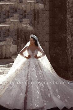 a woman wearing a wedding dress with long sleeves and a veil in front of her