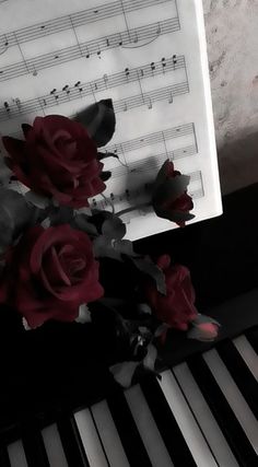 red roses sitting on top of a piano with sheet music in the backround